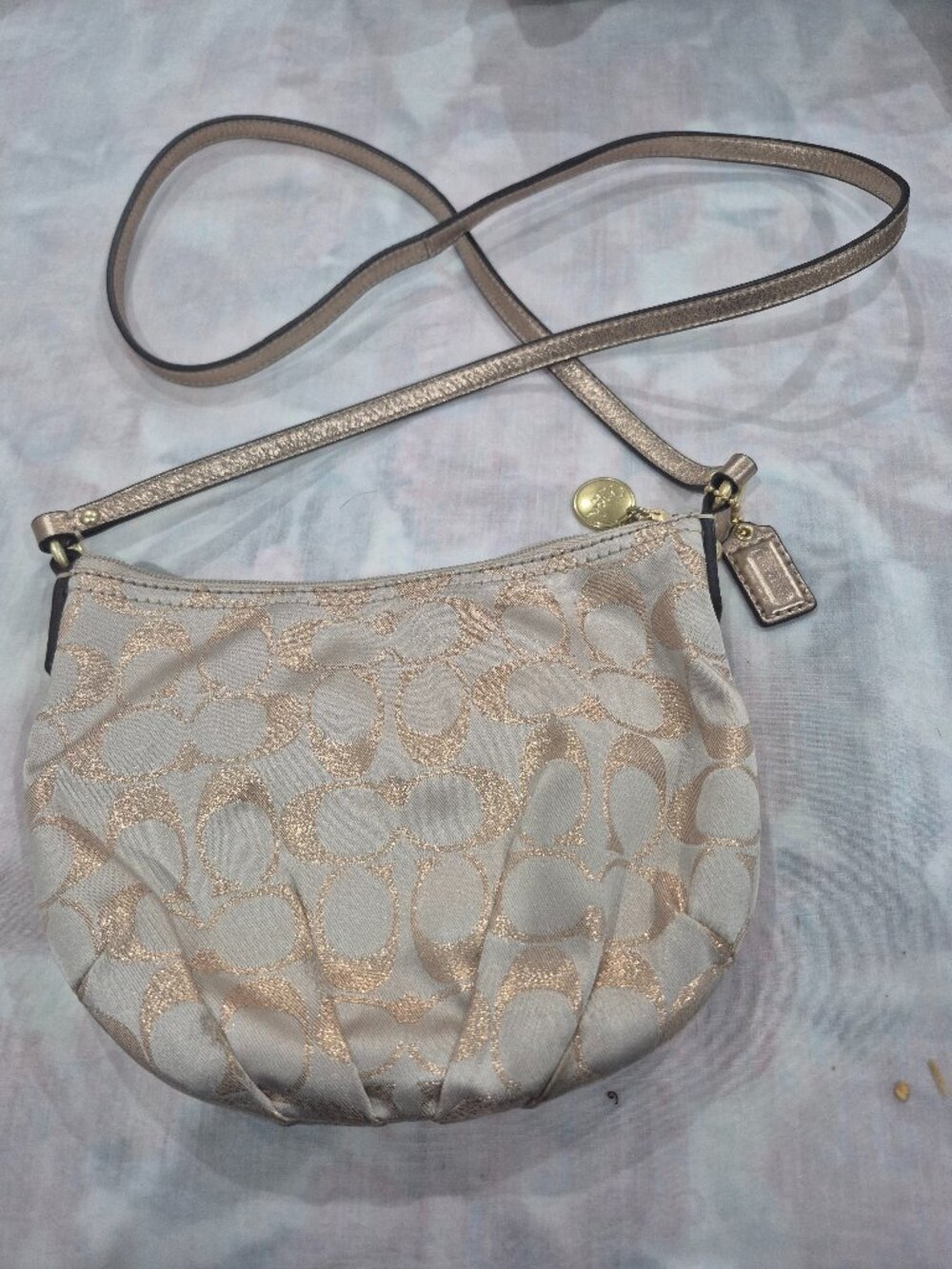 Carterista coach nueva